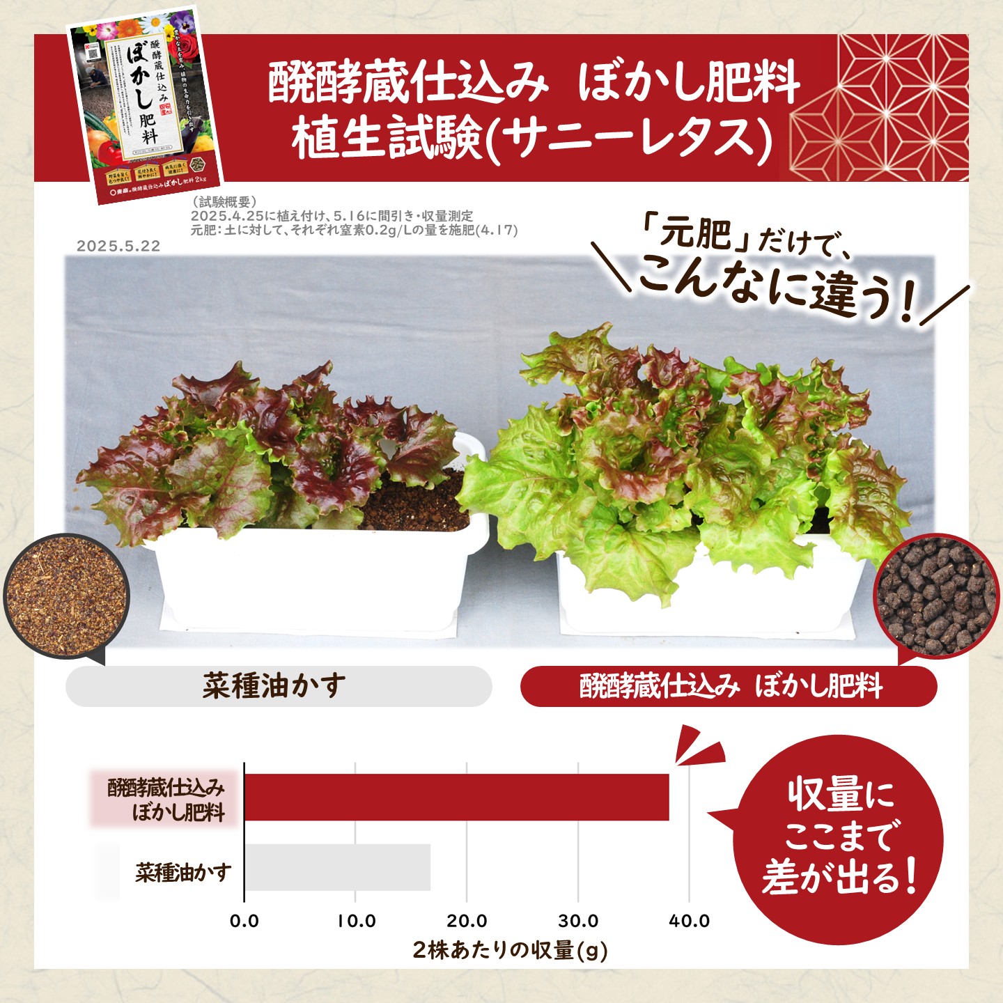 醗酵蔵仕込みぼかし肥料(サニーレタス)