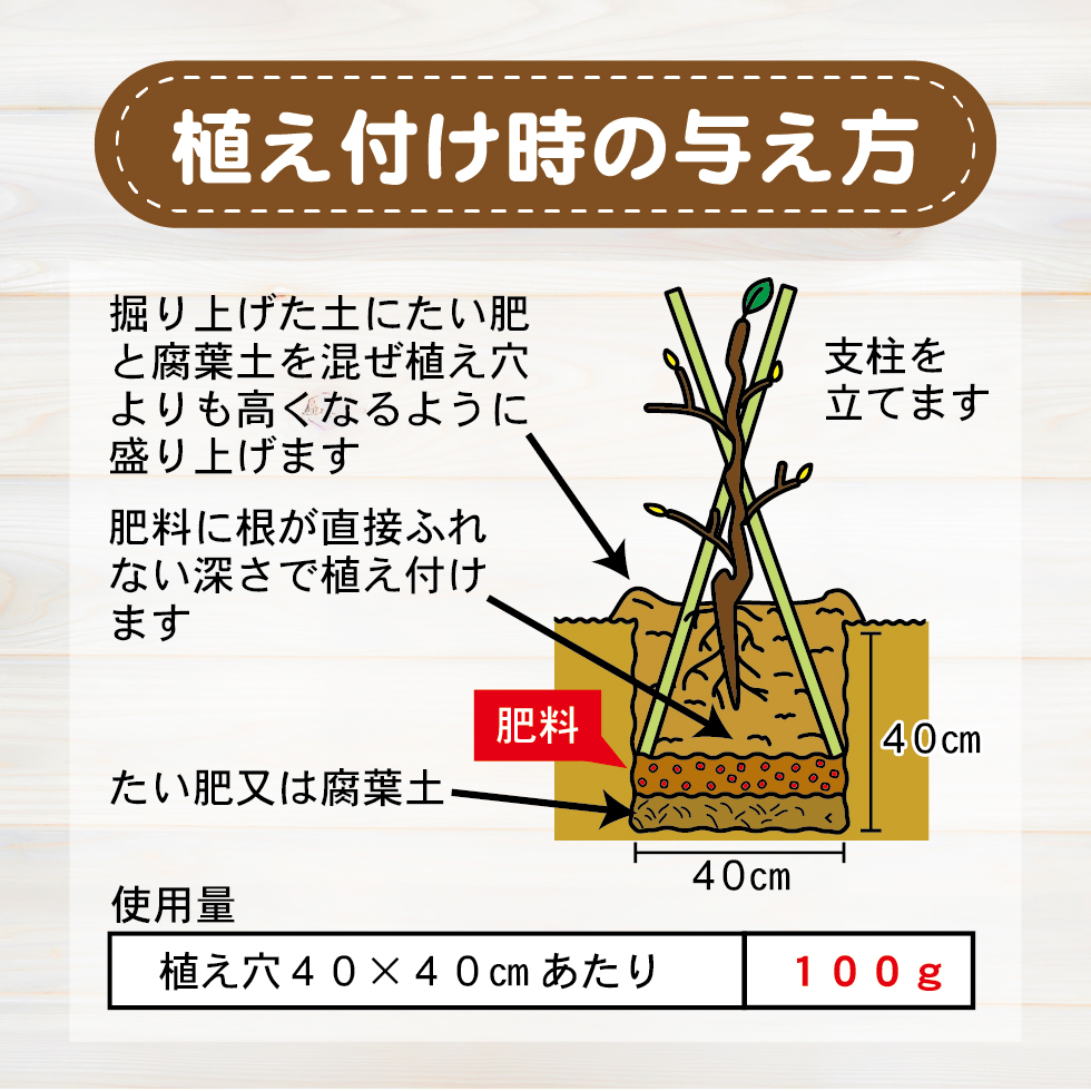 LP原稿_DCMレモン02-09修正