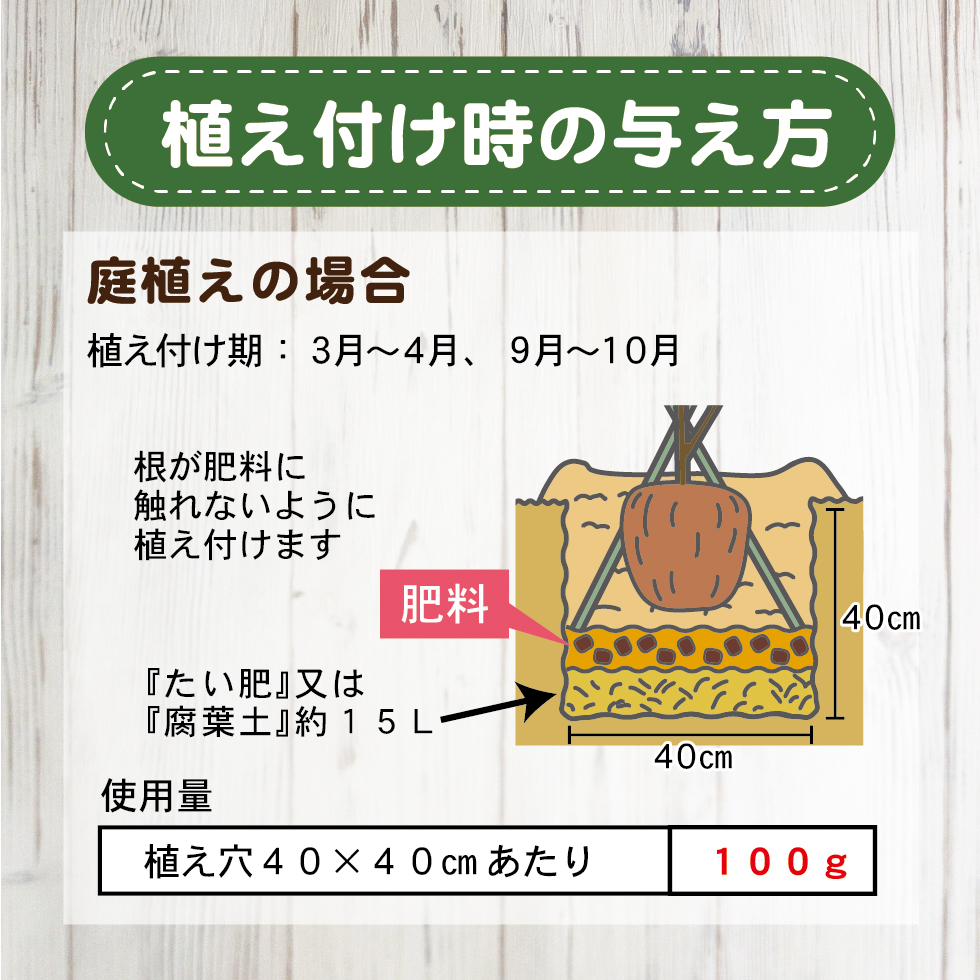 LP原稿_コーナンオリーブ02-08修正