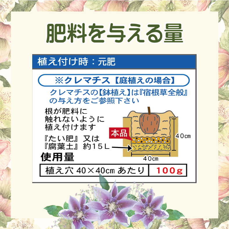 LPクリスマスローズの肥料　肥料を与える量修正-01
