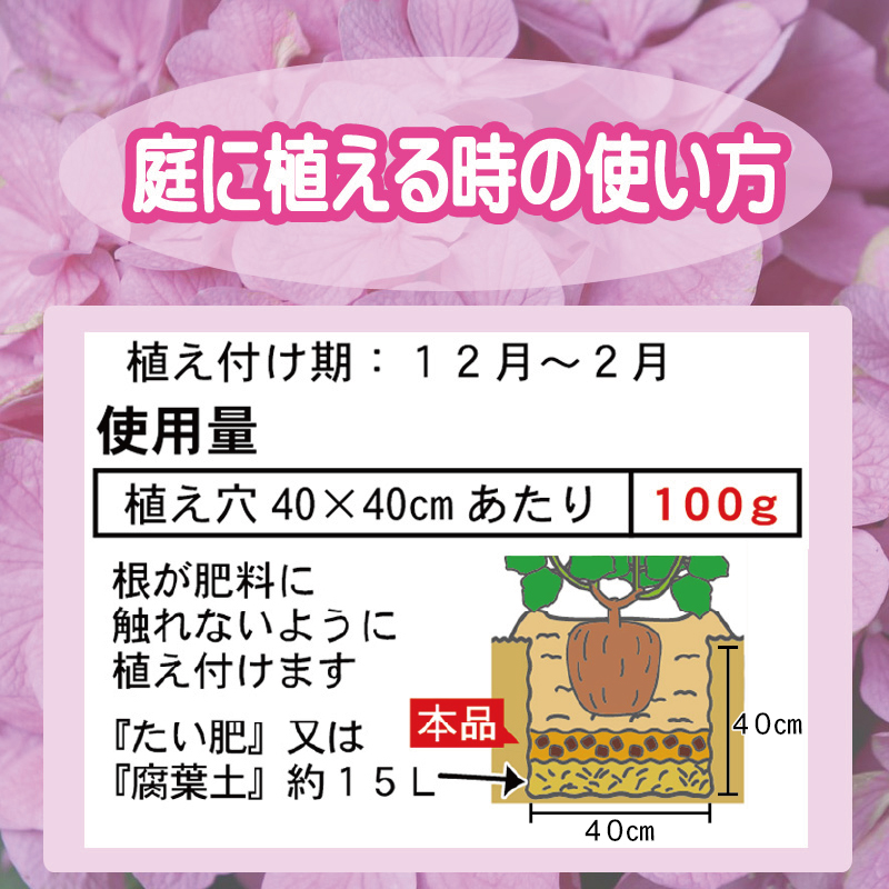 LP赤アジサイの肥料　肥料を与える量修正-01