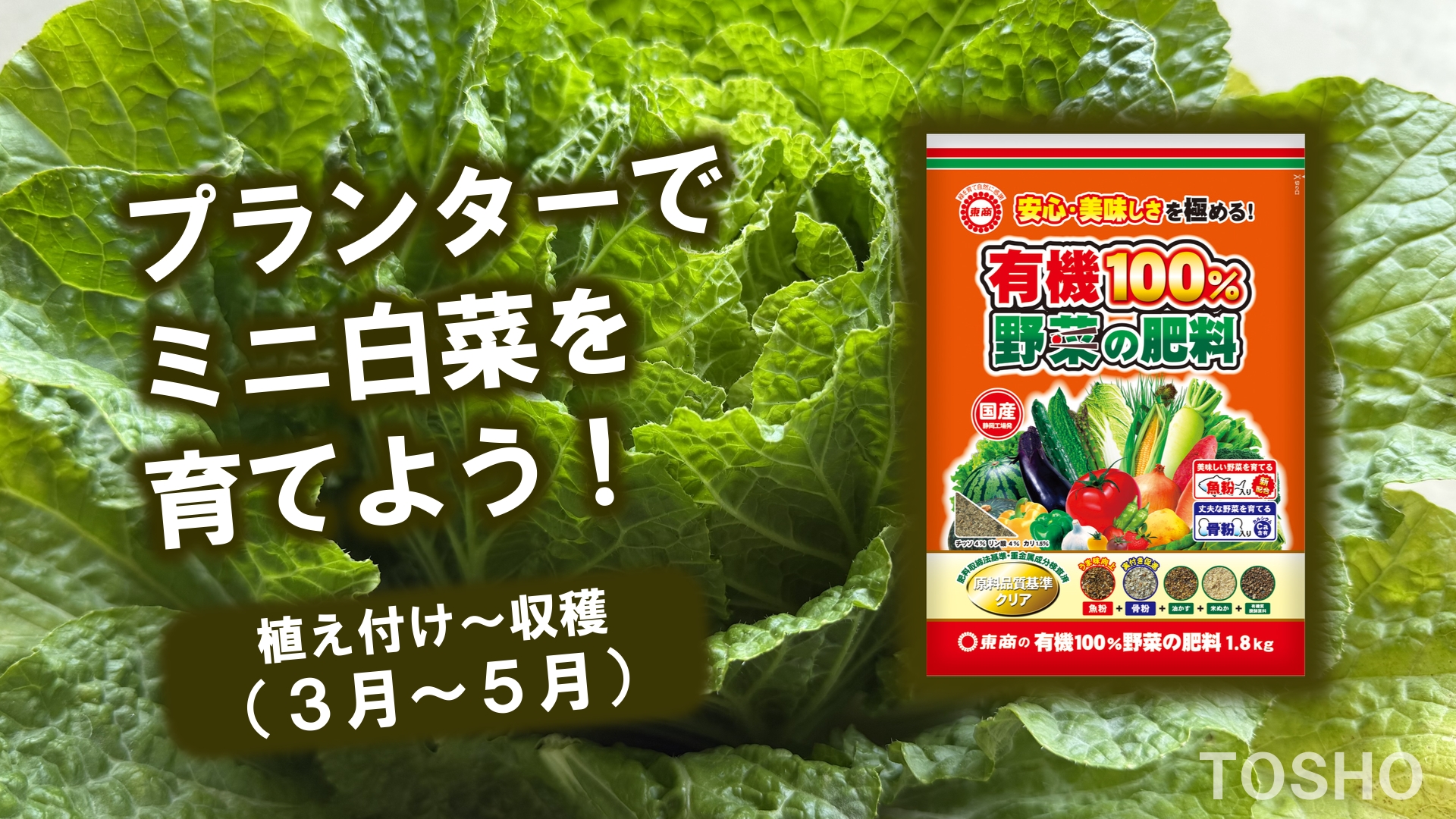 スチル 2026-06-07 234516_5.1.1