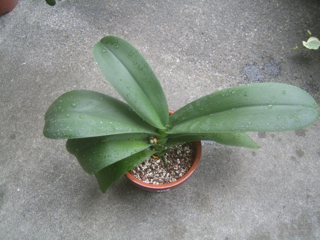 ブログ ブログ 株式会社 東 商