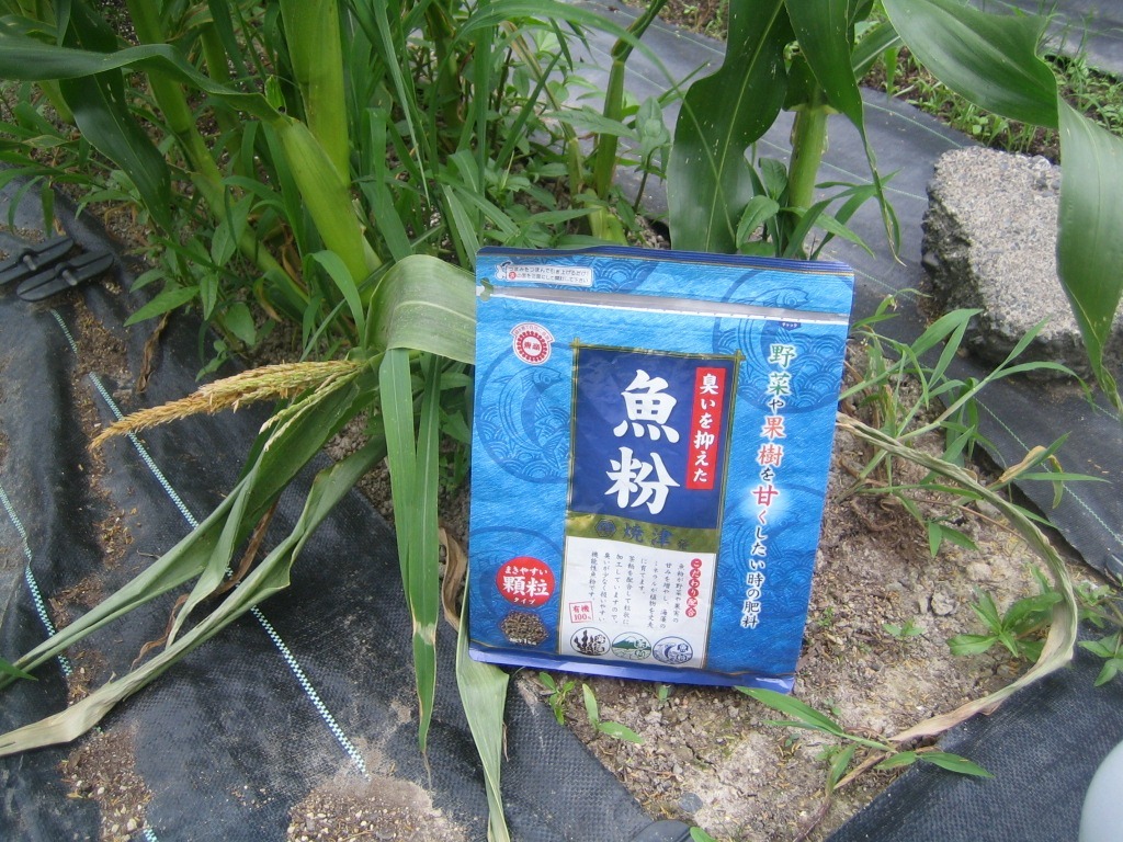 ブログ ブログ 株式会社 東 商