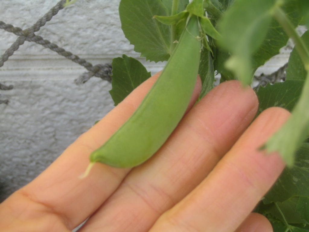 ブログ ブログ 株式会社 東 商