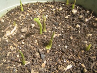 ブログ ブログ 株式会社 東 商