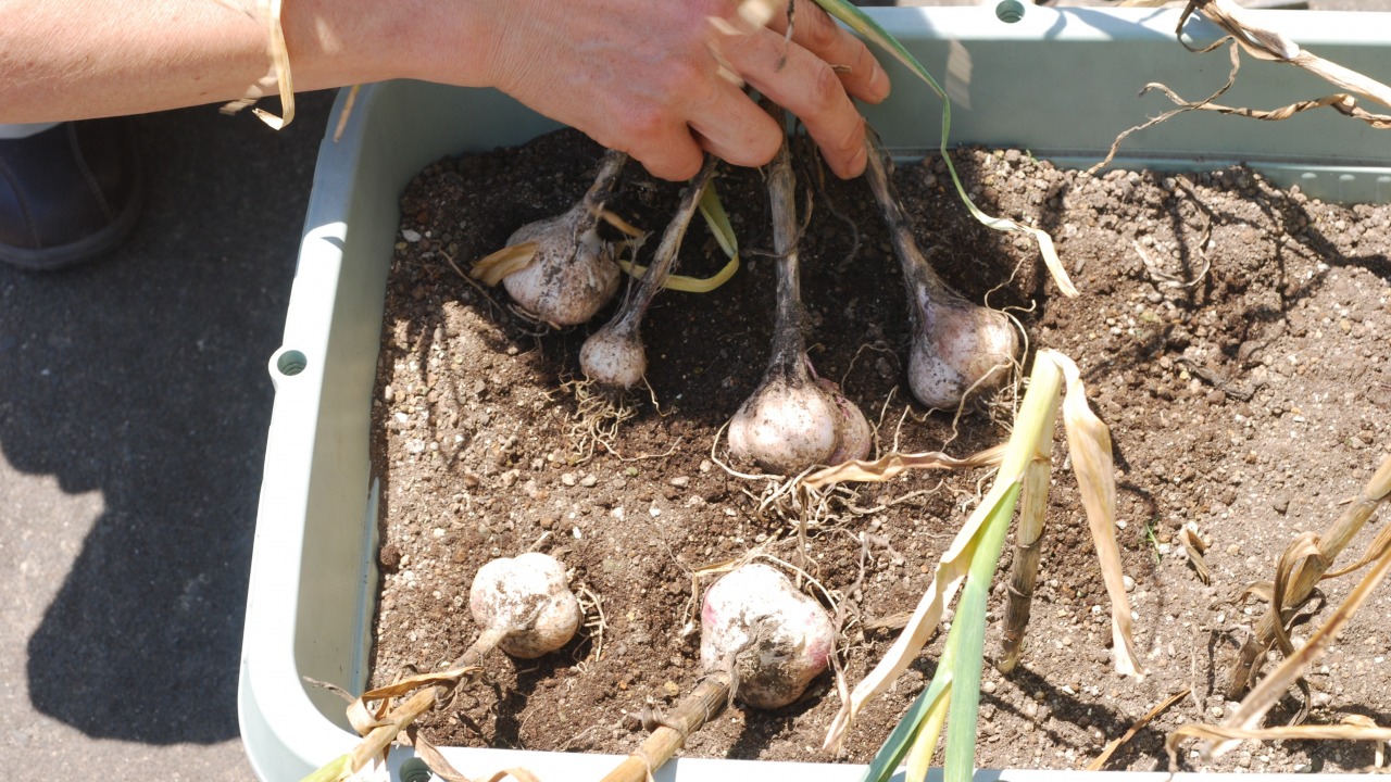 ブログ - ブログ - 株式会社 東 商