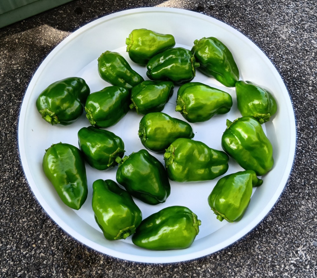 ブログ - ブログ - 株式会社 東 商