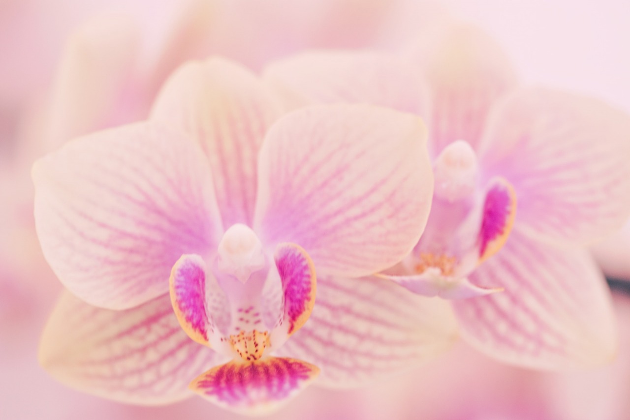 コラム 株式会社 東 商