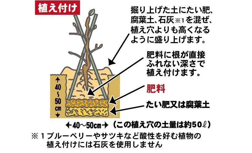 コラム 株式会社 東 商