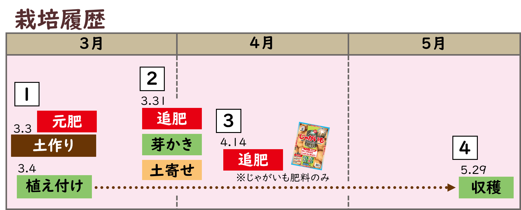 希望される芋の種類や本数を相談ください。 ブログ - ブログ - 株式会社 東 商