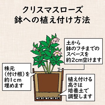 コラム - 株式会社 東 商