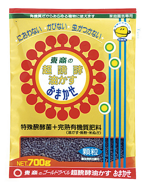 確認専用出品‼️ホーリンゼ　自家受粉　多肉植物　速達便 確認専用出品‼️ホーリンゼ 自家受粉 多肉植物 速達便 観葉植物