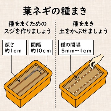 コラム - 株式会社 東 商