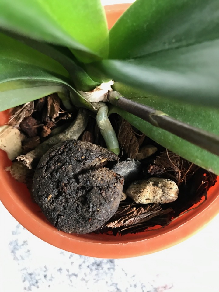 お客様の声 - 株式会社 東 商