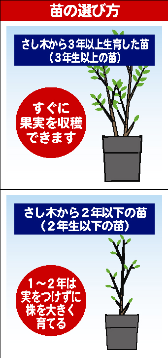 プランターの古い土をリサイクルしよう 園芸お役立ち情報 株式会社 東商