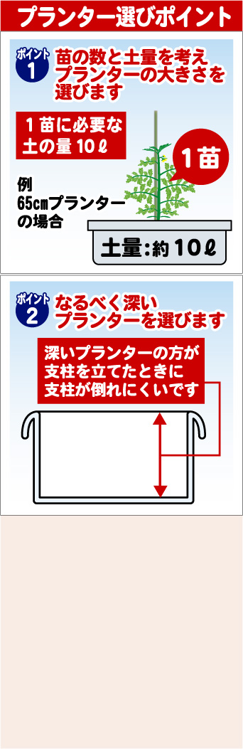 おいしいナスを育てよう 菜園編 園芸お役立ち情報 株式会社 東商