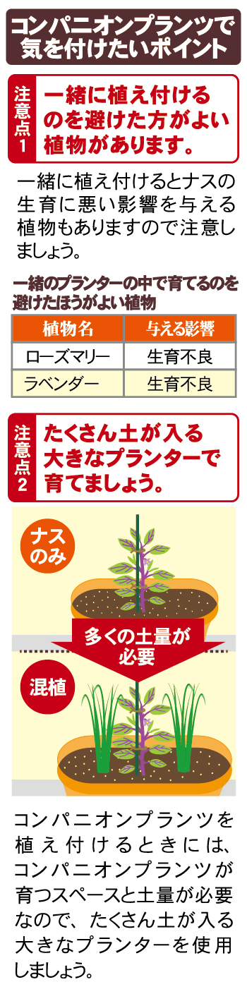 おいしいキュウリが育つ管理方法教えます 地植え編 園芸お役立ち情報 株式会社 東商