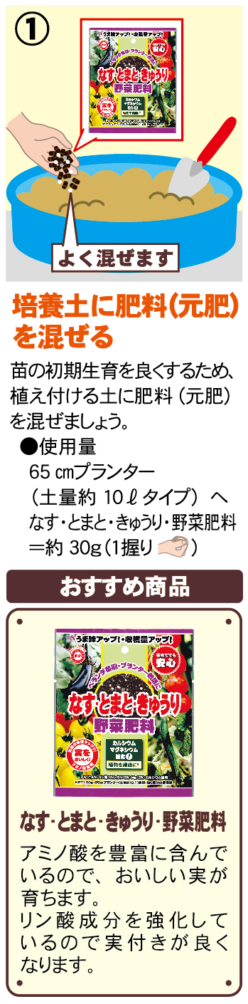 おいしいキュウリが育つ管理方法教えます 地植え編 園芸お役立ち情報 株式会社 東商