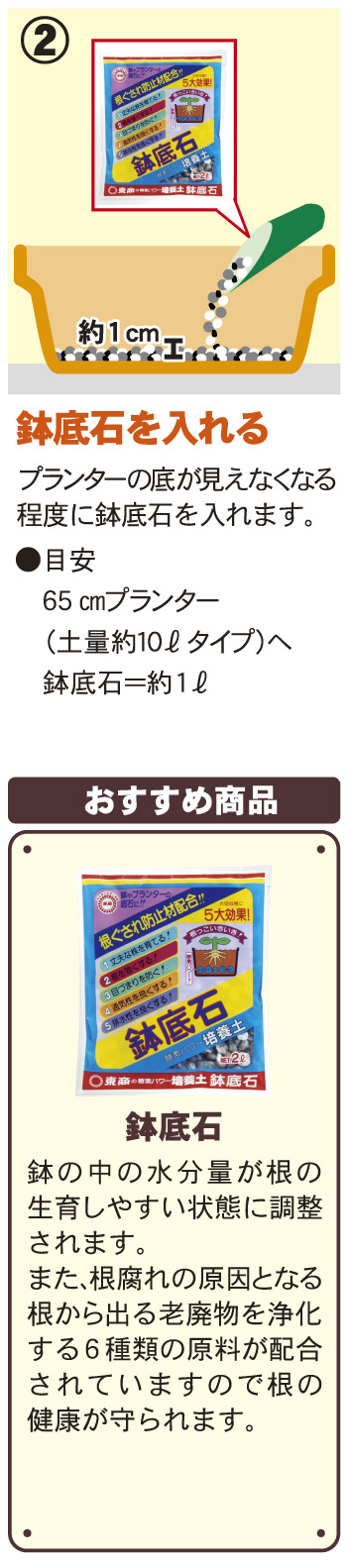 ブルーベリー栽培にチャレンジ園芸お役立ち情報 株式会社 東商